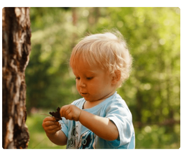 Os BenefÃ­cios do Contato da CrianÃ§a com a Natureza